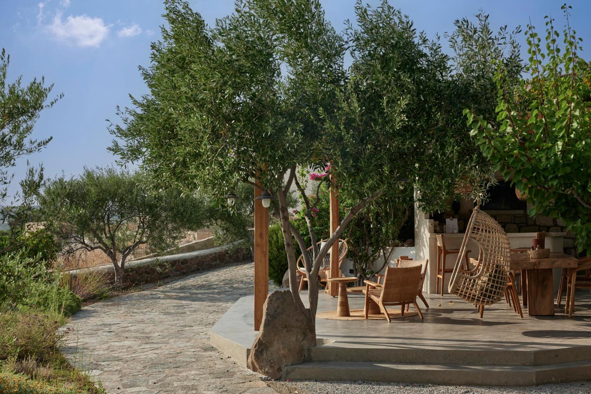 Apartamento Iliana Olive Branch Adamantas  Exterior foto