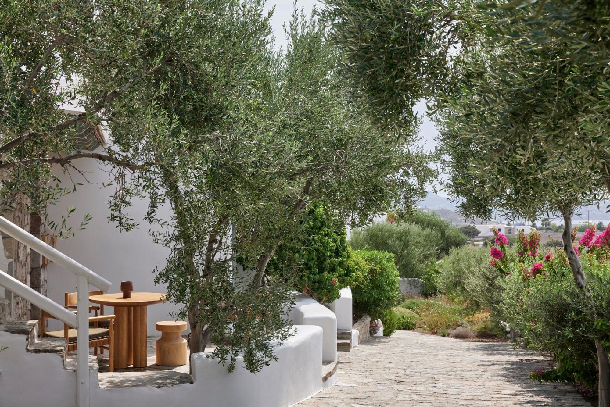 Apartamento Iliana Olive Branch Adamantas  Exterior foto