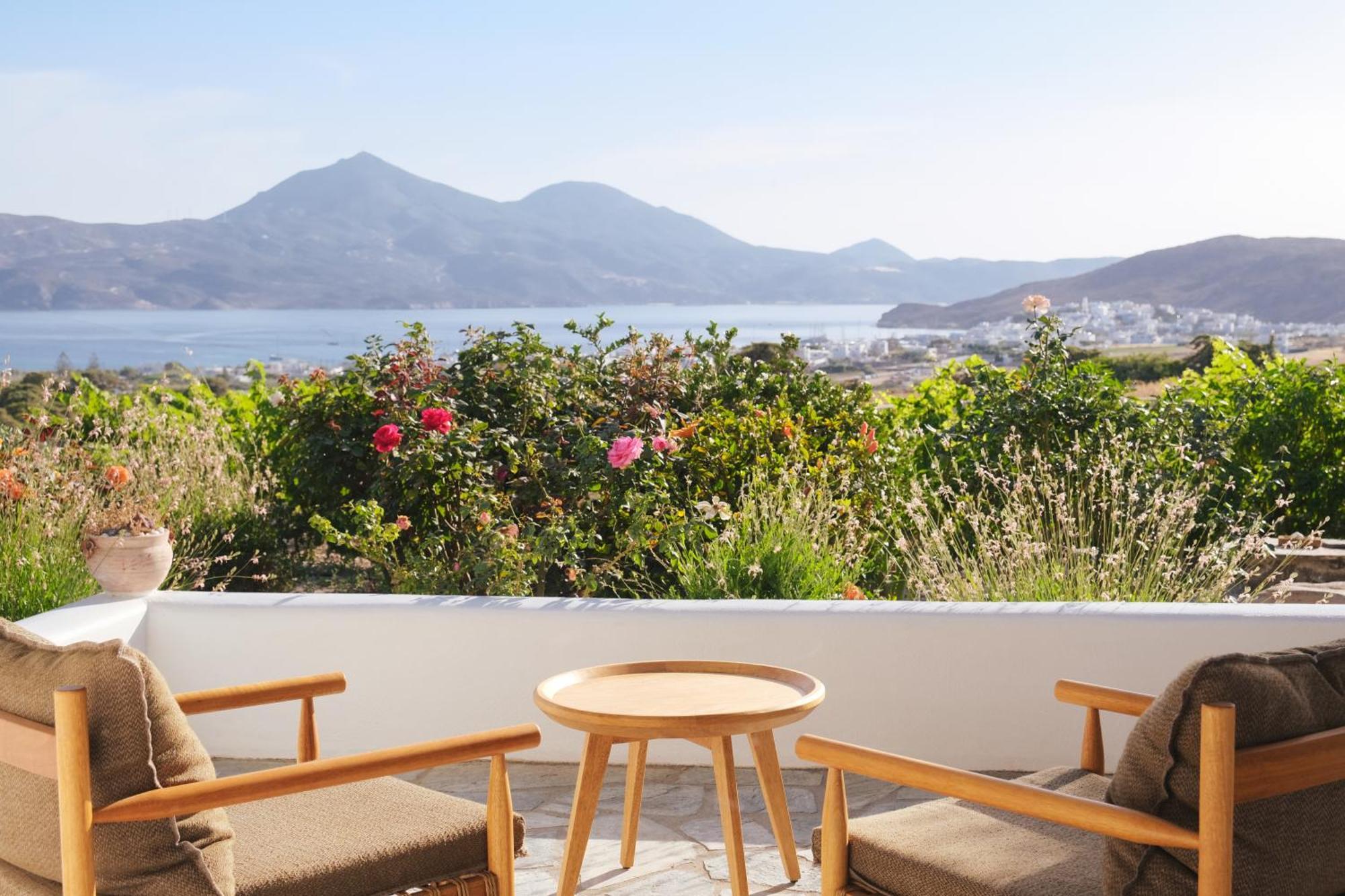 Apartamento Iliana Olive Branch Adamantas  Exterior foto